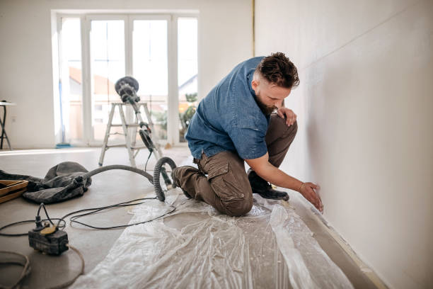 Best Drywall Installation  in Robbinsdale, MN