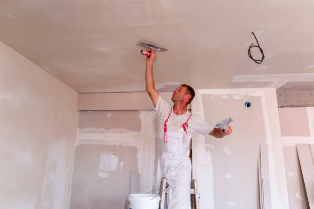  Robbinsdale, MN Dry wall and painting Pros